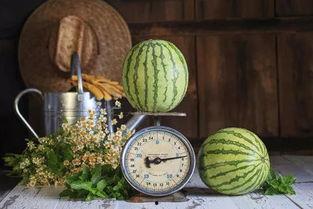 吃瓜玩泥,揭秘夏日休闲新风尚