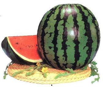 吃瓜壮阳吗,揭秘日常饮食中的神奇功效