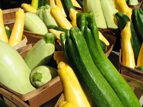 吃瓜养蛊,揭秘网络时代的神秘现象