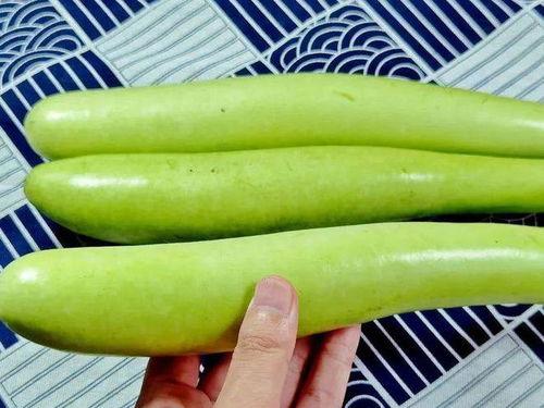 9月14吃瓜,娱乐圈瓜田里的那些事儿