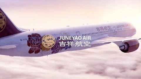 吃瓜航空门,揭秘航班延误背后的真相与反思