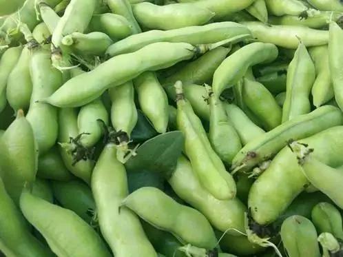 弥勒吃瓜支线,揭秘佛界奇闻轶事