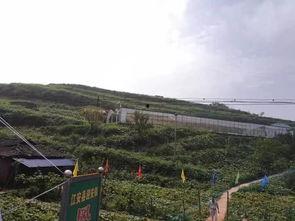 浚县北关吃瓜事件,一场引发热议的街头冲突