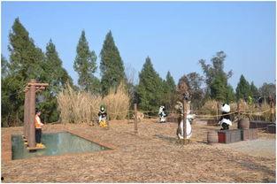 吃瓜群众去森林,吃瓜群众探秘之旅