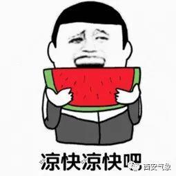 带你吃瓜带你回家,揭秘娱乐圈背后的故事