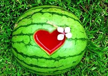 仲夏绮梦哪里吃瓜,探寻夏日美食新地标